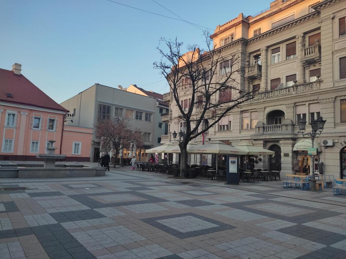 Woody Lejlighed Novi Sad Eksteriør billede