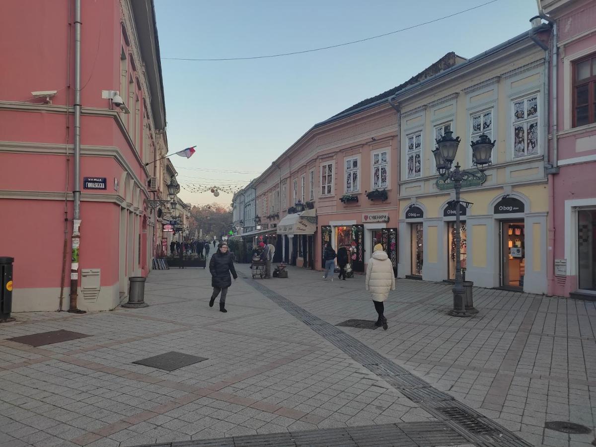 Woody Lejlighed Novi Sad Eksteriør billede